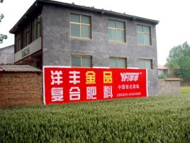 政和如何让墙体广告展现最大化效果