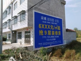  政和墙体广告质量分析