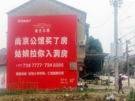 政和墙体广告在乡镇、农村市场的媒体优势